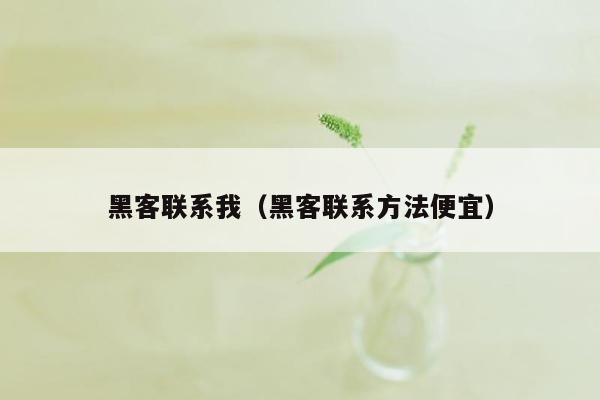 黑客联系我（黑客联系方法便宜）