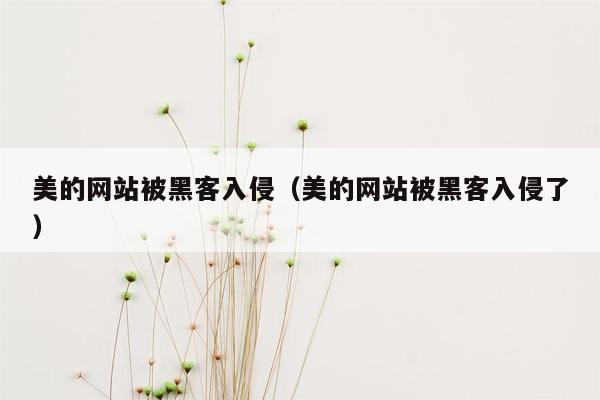 美的网站被黑客入侵（美的网站被黑客入侵了）