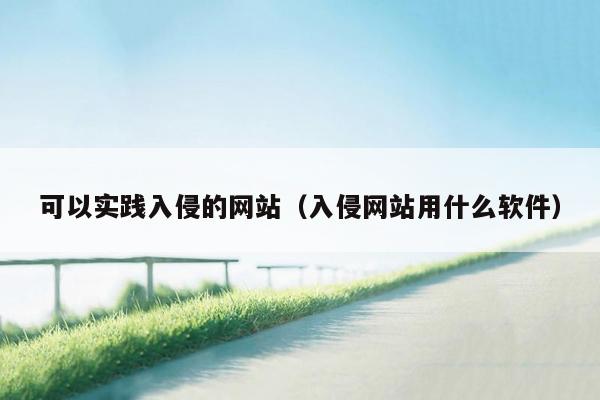 可以实践入侵的网站（入侵网站用什么软件）