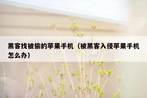 黑客找被偷的苹果手机（被黑客入侵苹果手机怎么办）