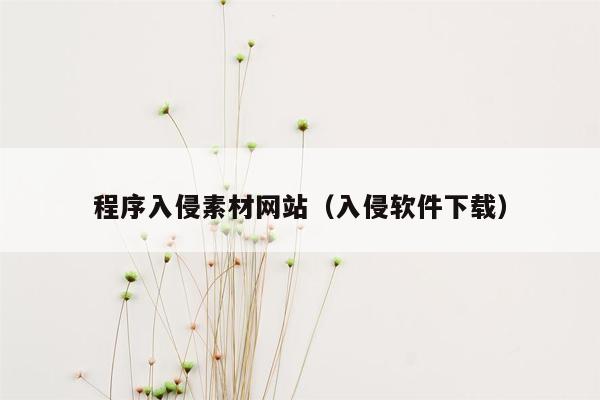 程序入侵素材网站（入侵软件下载）