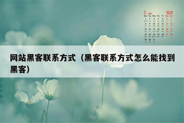 网站黑客联系方式（黑客联系方式怎么能找到黑客）