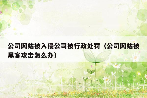 公司网站被入侵公司被行政处罚（公司网站被黑客攻击怎么办）