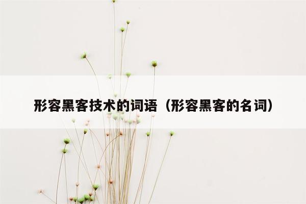 形容黑客技术的词语（形容黑客的名词）