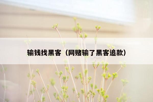 输钱找黑客（网赌输了黑客追款）