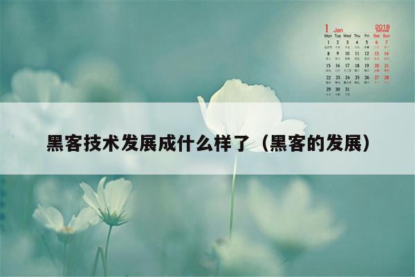 黑客技术发展成什么样了（黑客的发展）