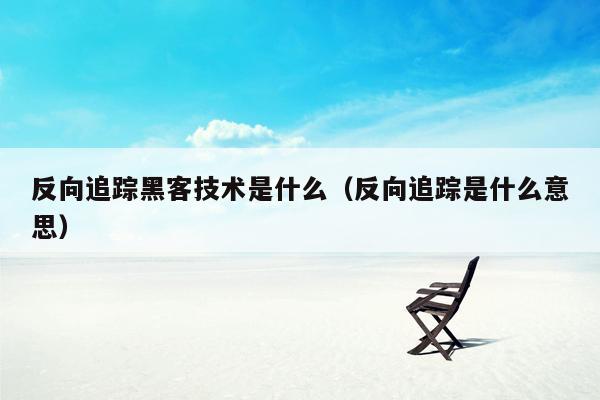 反向追踪黑客技术是什么（反向追踪是什么意思）