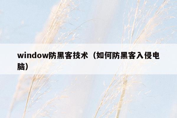 window防黑客技术（如何防黑客入侵电脑）