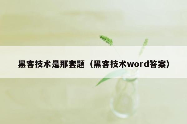 黑客技术是那套题（黑客技术word答案）