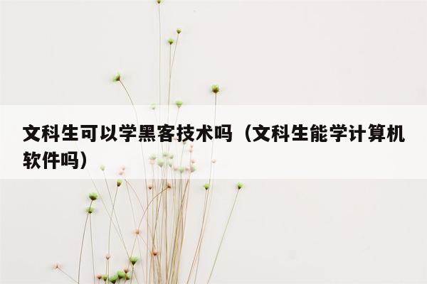 文科生可以学黑客技术吗（文科生能学计算机软件吗）