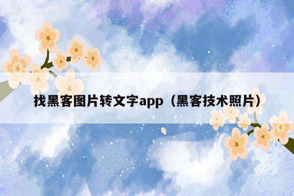 找黑客图片转文字app（黑客技术照片）