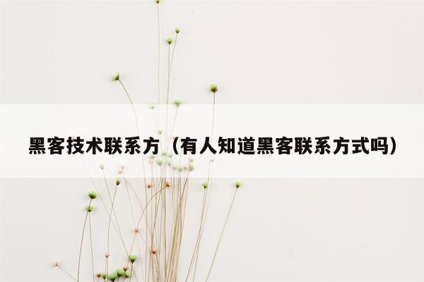 黑客技术联系方（有人知道黑客联系方式吗）