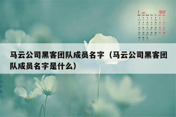 马云公司黑客团队成员名字（马云公司黑客团队成员名字是什么）