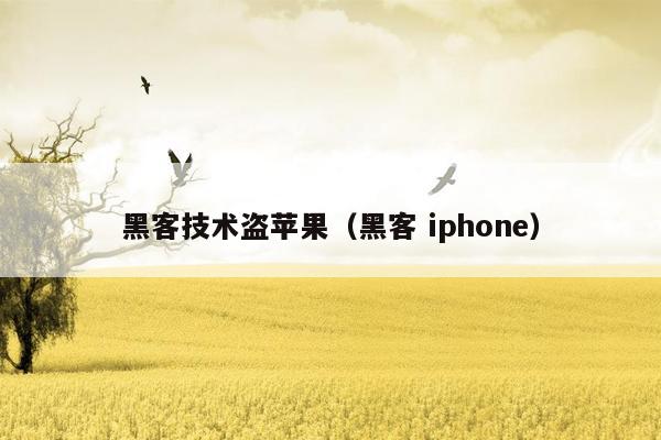 黑客技术盗苹果（黑客 iphone）