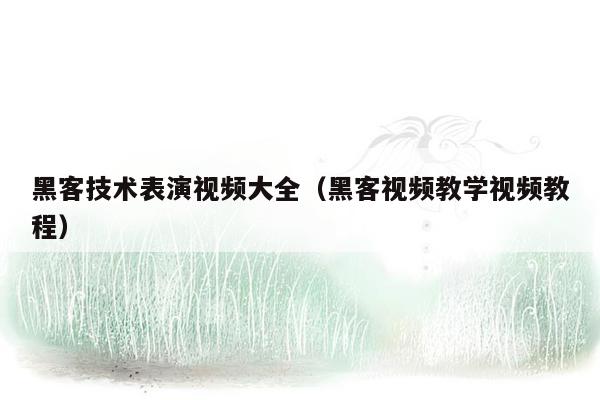 黑客技术表演视频大全（黑客视频教学视频教程）