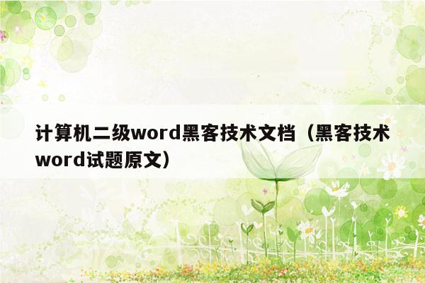 计算机二级word黑客技术文档（黑客技术word试题原文）