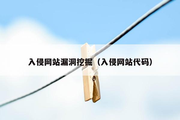 入侵网站漏洞挖掘（入侵网站代码）