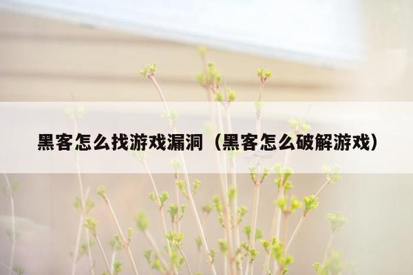 黑客怎么找游戏漏洞（黑客怎么破解游戏）