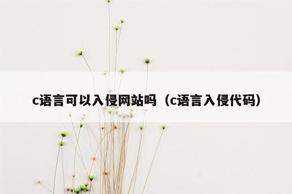 c语言可以入侵网站吗（c语言入侵代码）