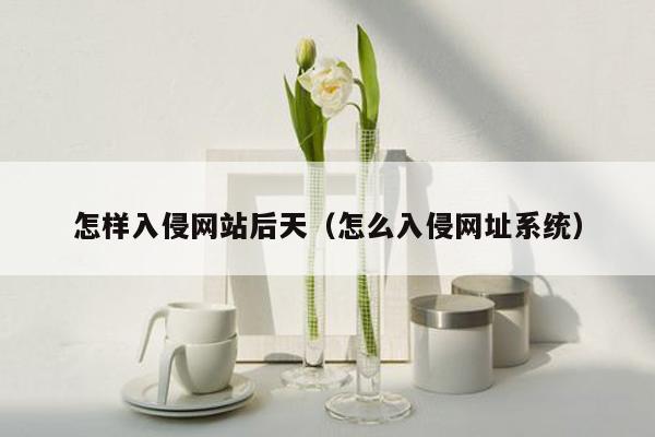 怎样入侵网站后天（怎么入侵网址系统）