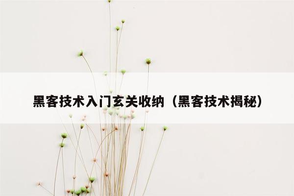 黑客技术入门玄关收纳（黑客技术揭秘）